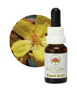 Kapok Bush, 15 ml